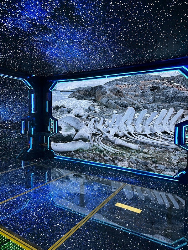 IMG_9748.JPG_compressed