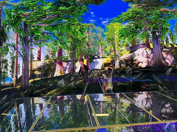 IMG_9719.JPG_compressed