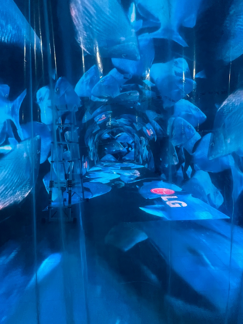 IMG_5824.HEIC_compressed