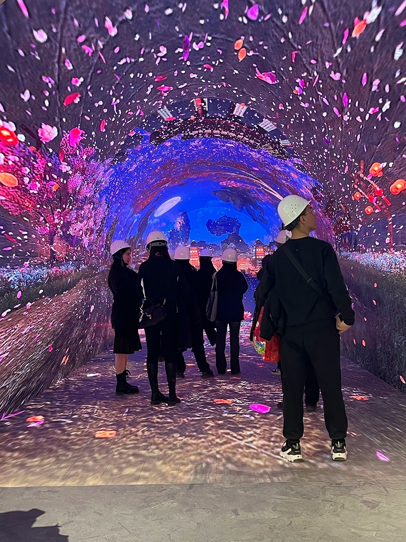 IMG_6077.HEIC_compressed