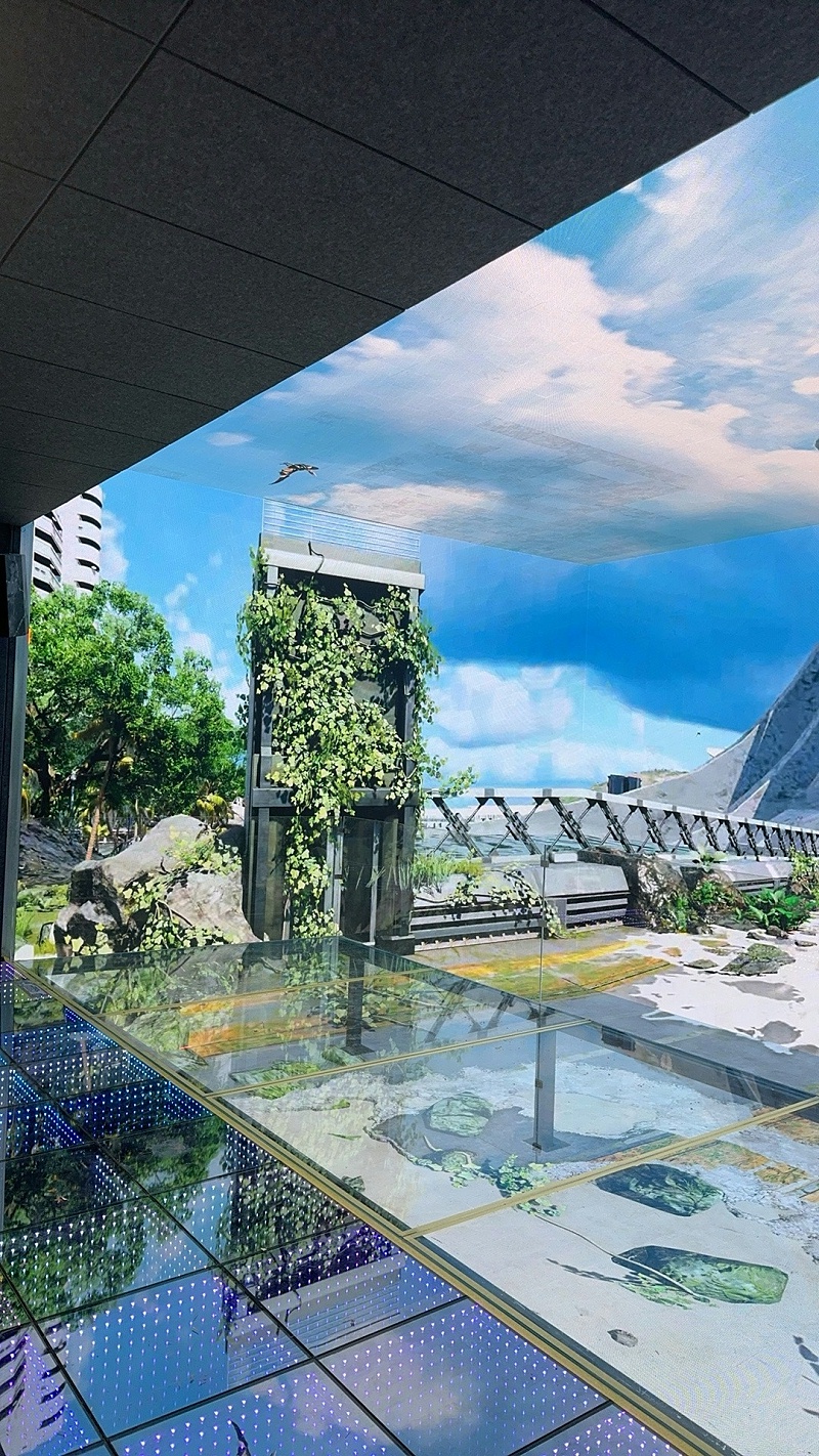 IMG_9744.JPG_compressed