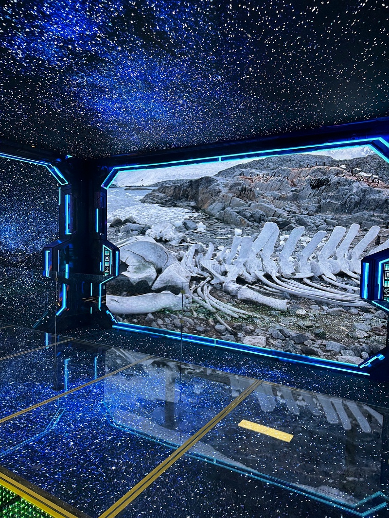 IMG_9748.JPG_compressed