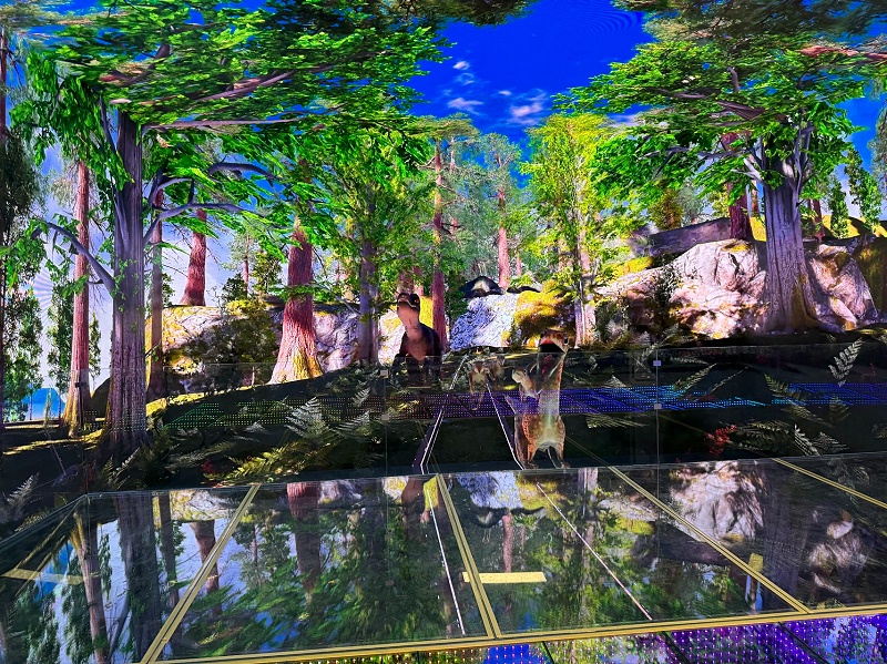 IMG_9719.JPG_compressed