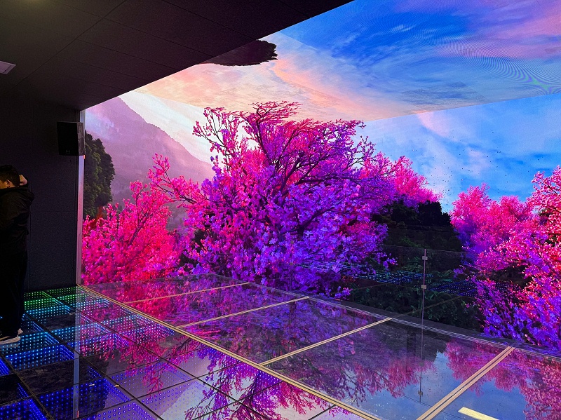 IMG_9729.JPG_compressed